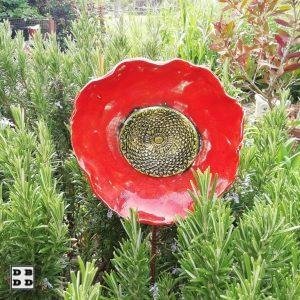 coquelicot