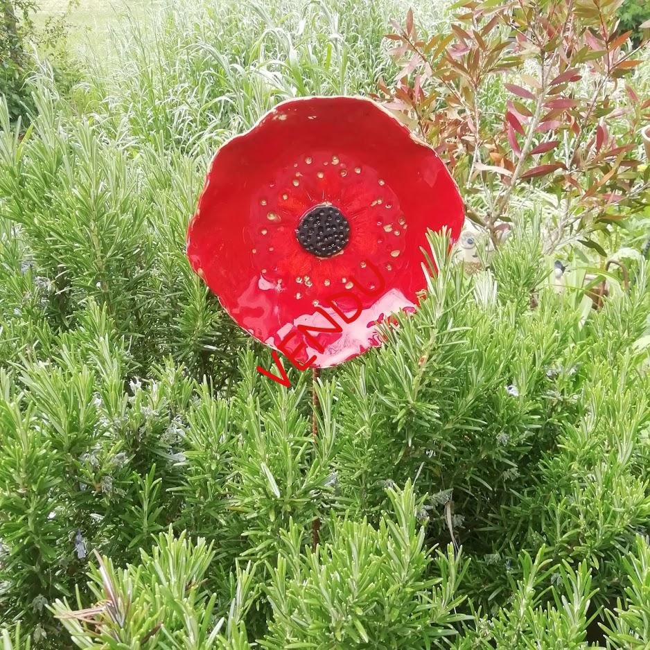 coquelicot céramique rouge